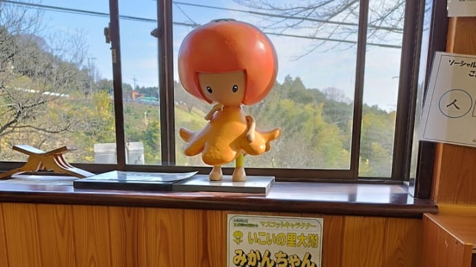 天ぷら付そば (ときがわ町・そば道場)