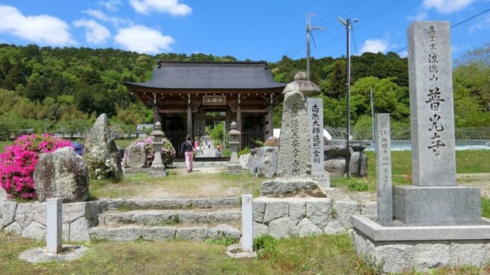 今日は「宝塚市立・長谷(ながたに)牡丹園」へ行きました