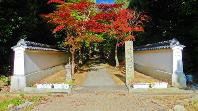 慈眼寺(三木市)の紅葉は・・・