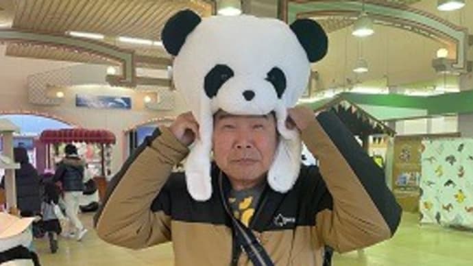アラ古稀アドベンチャー6