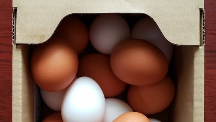 卵の食べ比べ第一弾『Mたまご vs Hたまご』