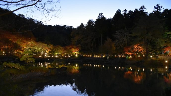 もみじ狩り 静岡県伊豆市修善寺 虹の郷 日本庭園(8)ライトアップ