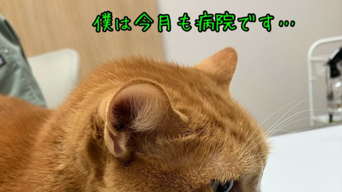 萎縮してました