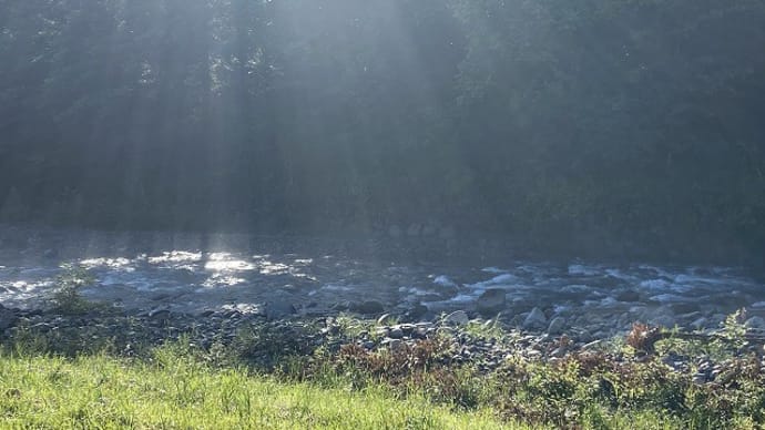 今日の最低気温17.5度