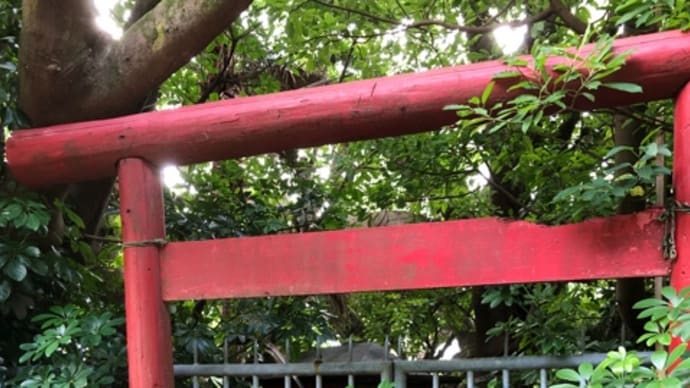 指宿 謎の白蛇神社