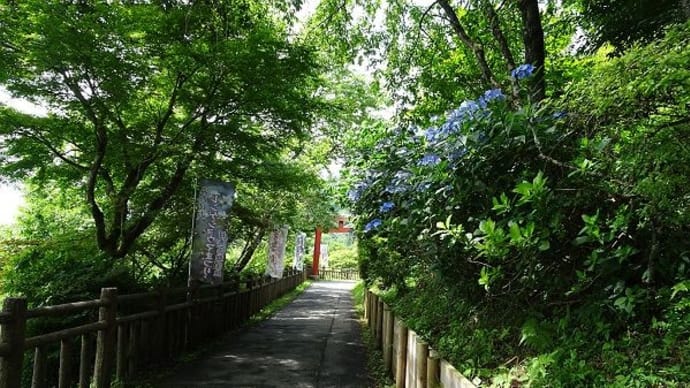 御岳山　2024年7月29日（１）