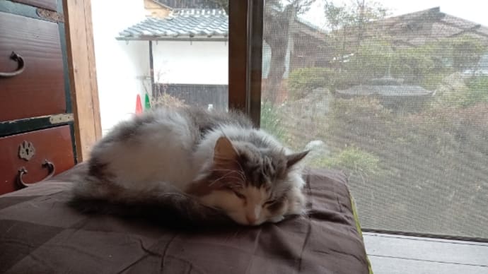 週末は。。