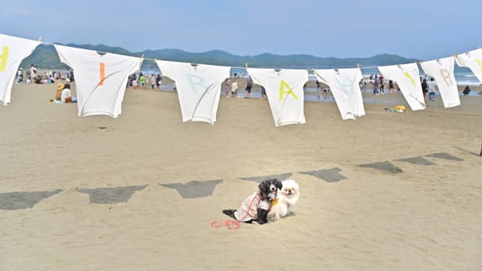 砂浜美術館 Tシャツアート展