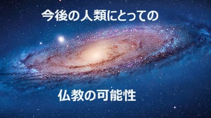 動物倫理及び環境倫理の背景思想としての仏教の可能性ー2