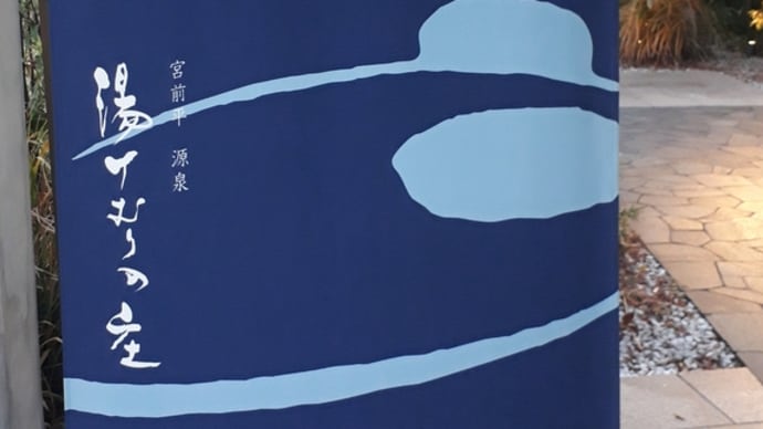 2019/12/27日誌:昼の徘徊・ザ・東京温泉ウォーキンズ35(鷺沼駅〜宮前平源泉・湯けむりの庄〜宮前平駅)