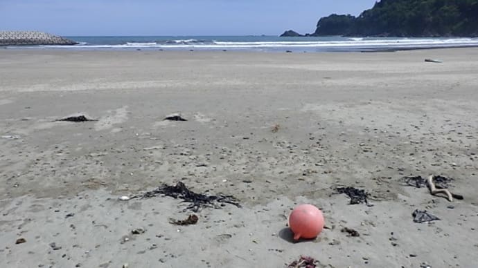 海水浴シーズンもそろそろ終わり?そんな時期に、ポンコツサーファーが見つけた、今日の漂着物、、、、の巻き。
