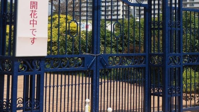 にしさんの花日記 京成バラ園 バラ達