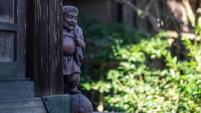 鎌倉採光【長谷寺/光則寺】色んな出会い。いい1日になりそう!