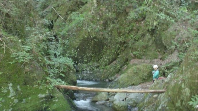 奥多摩・水根沢谷