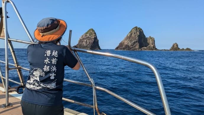 越前浜富潜水部秘境宇治草垣活動報告🎵