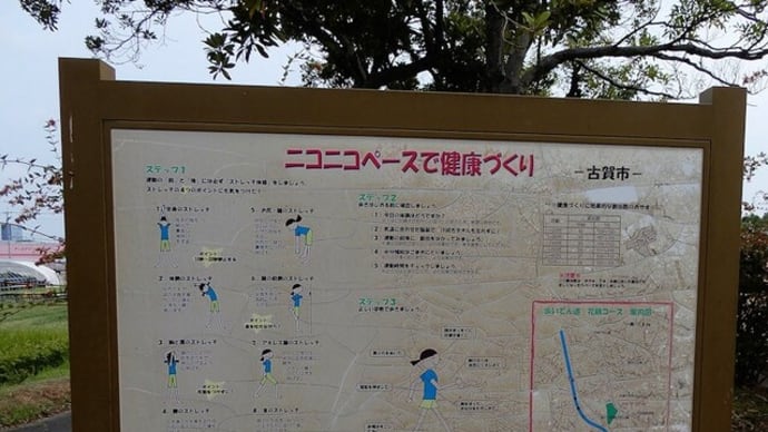 鹿部山の帰り道