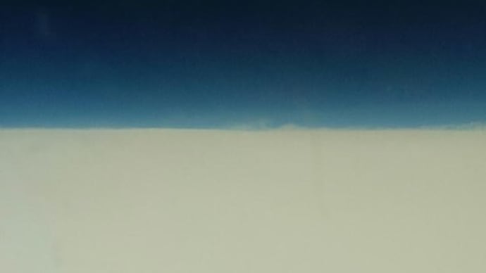 石垣島に居ます