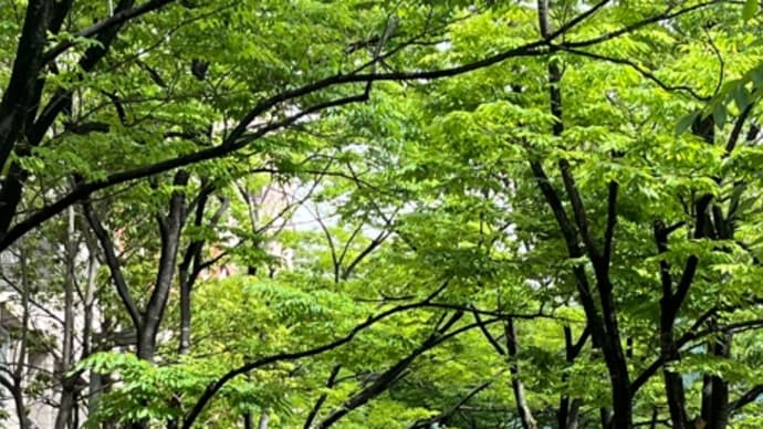 ああ、疲れたぁ。