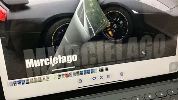 Murcielago