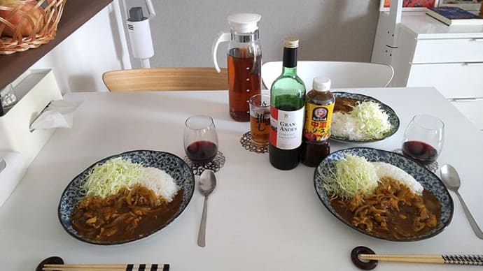 12月22日 ポークカレー飲酒。