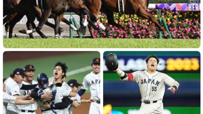 高松宮記念🐴 サインを妄想しよう✨