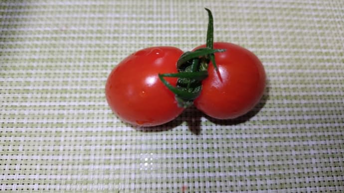 ほかとちがう