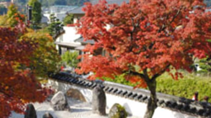 紅葉で高揚