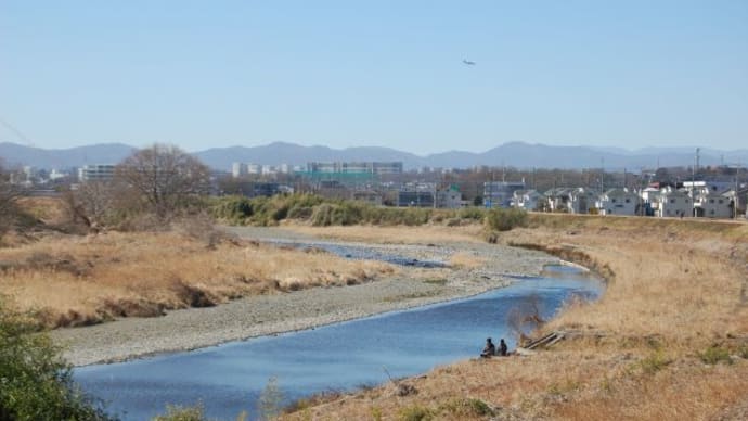穏やかな浅川