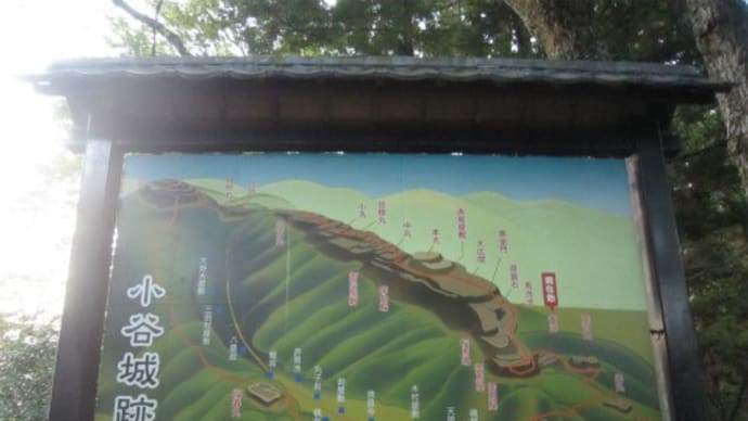 小谷城跡(18)