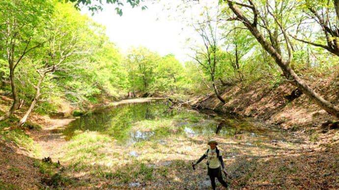 野見ヶ岳