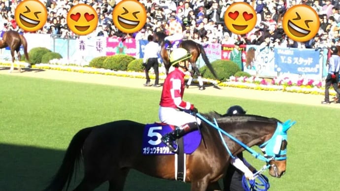 👑🐴中山大障害 2022・🐴オジュウチョウサン引退式