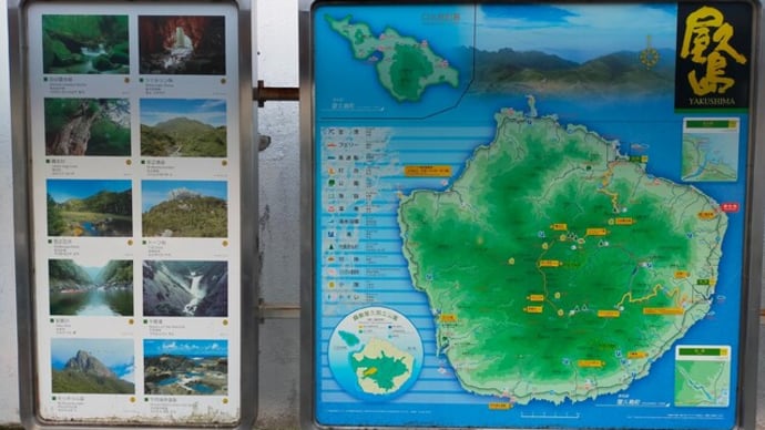 念願の屋久島