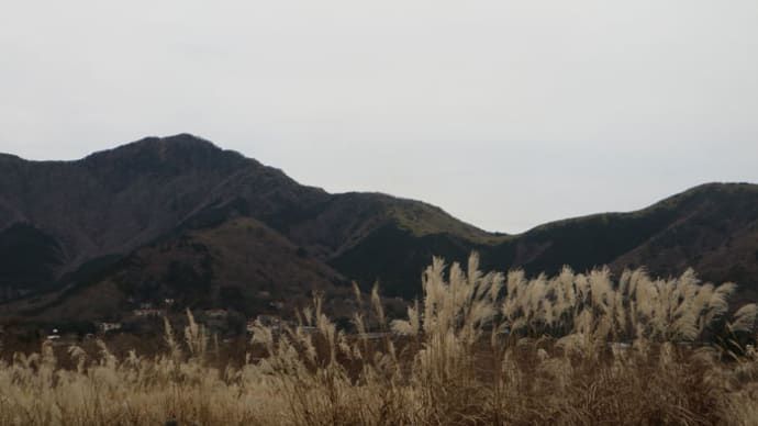 箱根を楽しむ~たっぷり歩きました