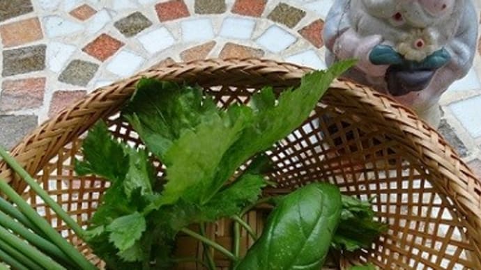 21番目のJulieDayに箱庭菜園での収穫は