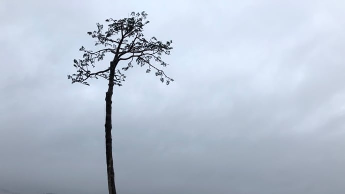 3.11