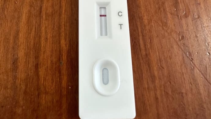 GW中 PCR検査陰性