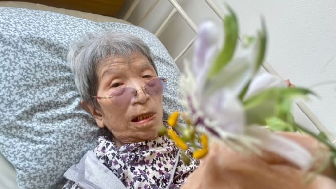 義母と時計草