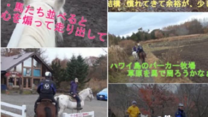 富士山麓鳴沢村で乗馬体験 西湖いやしの里 根場の蕎麦 🐎