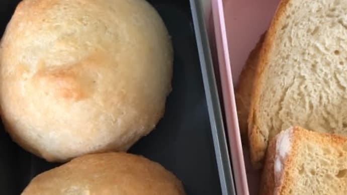 生米パン その後