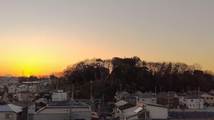 01月17日 今日も寒かった。