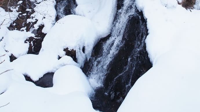 雪の山中