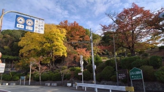 お友達と箕面ランニング♪ *大阪 箕面市*