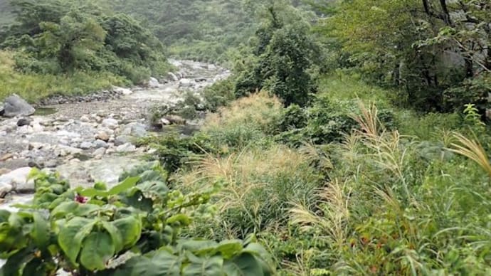 青海黒姫山(糸魚川市、標高1,221m)登山、体調不良のため途中撤退。「道の駅おたり」で、温泉とランチ。