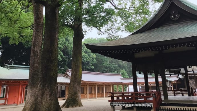 神社の空気が輝いていた