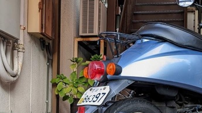 レンズの位置