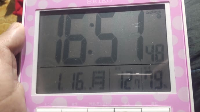2023/01/16 昨日から雨で湿度が上がったまま😭