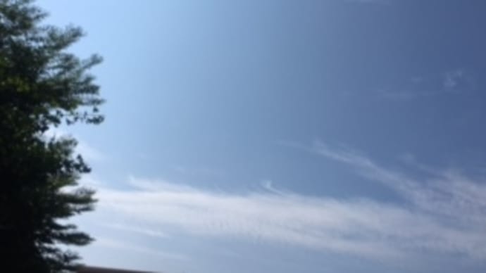 今時の大学