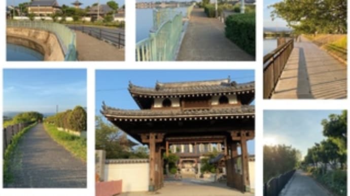 久米田池・遊歩道~2020.08.25