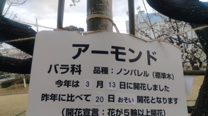 東洋ナッツ食品庭園