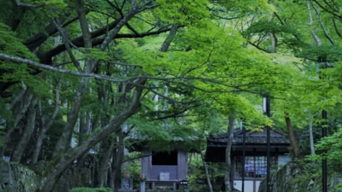 金剛輪寺 湖東三山 深緑めぐり